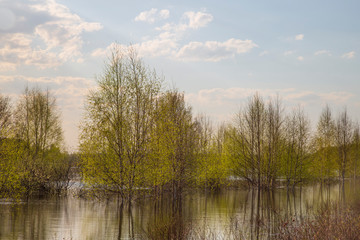 Fototapeta na wymiar Beautiful spring landscape on the lake.
