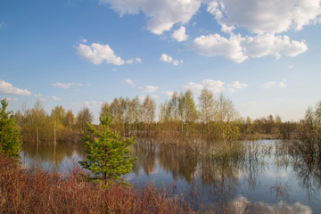 Fototapeta na wymiar Beautiful spring landscape on the lake.