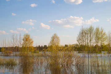 Beautiful spring landscape on the lake.