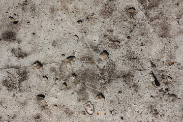  Old, dirty, dark concrete with large holes
