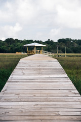 Obraz premium Edisto Island in South Carolina 