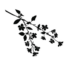 Silhouette of apple or cherry flower with leaf, branch  blossom, vector,  black color, isolated on white background
