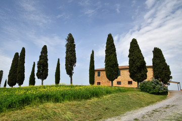 PIENZA, TUSCANY / ITALY - April 24, 2018: tuscany landscape, farmland I Cipressini, italian cypress...