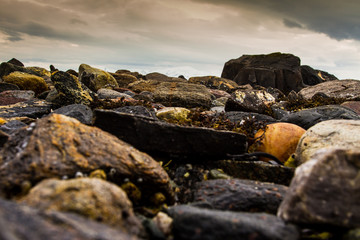 rocks on the beach