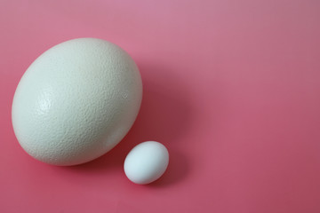ニワトリとダチョウの卵