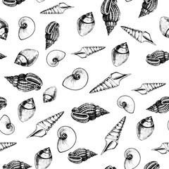 Seamless pattern of sea shells on white background. Manual graphics. Design for backgrounds, wallpapers and packaging