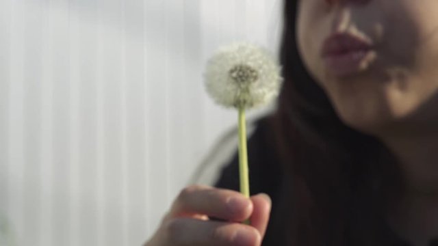 Beautiful Young Woman sitting on the field in green grass and blowing dandelion. Outdoors.