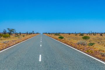 Long empty road in Australia leading through savanna landscape touching the horizon