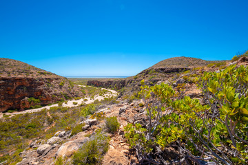 Fototapeta na wymiar Mandu Mandu Gorge with dry river bed leading towards Indian Ocean at Cape Range National Park Australia