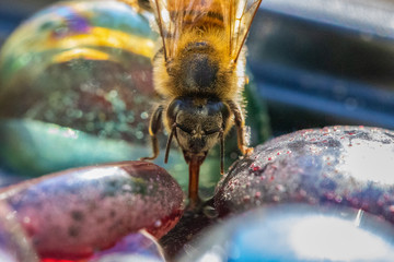 the tongue is strong with this one