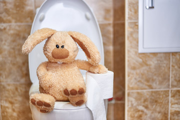 Soft stuffed rabbit with toilet paper in the toilet. Concept of digestive problems. Copy space.