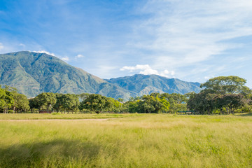 Fototapeta na wymiar View of Parque del Este with El Avila at the background, Caracas - Venezuela