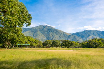 View of Parque del Este with El Avila at the background, Caracas - Venezuela