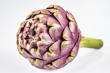 A single artichoke flower on a white background