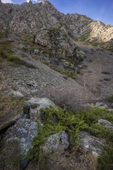 trekking through caucasus mountains