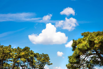 Clean Blue sky with clouds and trees
