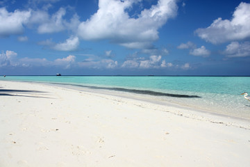 Spiaggia bianca in Biyadhoo island, Maldives