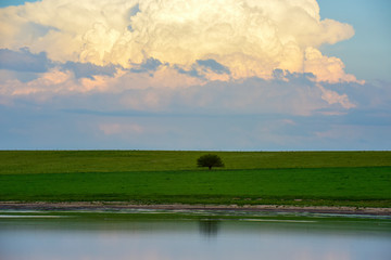 Summer landscape, Pampas, Patagonia, Argentina