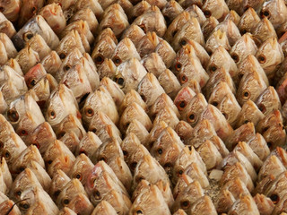Fish display in Tunisia fish market