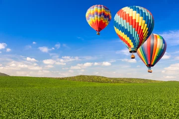 Cercles muraux Ballon Hot Air Balloons Over Lush Green Landscape and Blue Sky