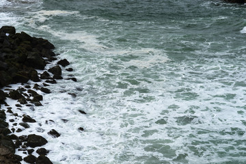 Spring Impressions from the Lands End in Golden Gate Recreation Area in San Francisco