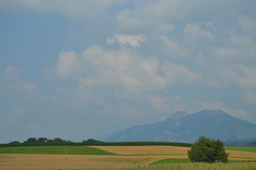 Fototapeta premium Switzerland landscape