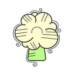 Cauliflower icon in flat style. Isolated object. Cauliflower logo. Isolated object. Vegetable from the garden. Organic food. Vector illustration.