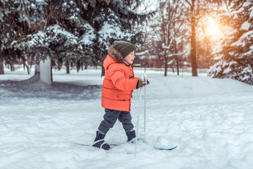 Little boy of 3 years old, winter city backdrop snow green firs, rides children's skis. Concept first steps, learning sports, active lifestyle since childhood. Emotions joy relaxation at weekend.