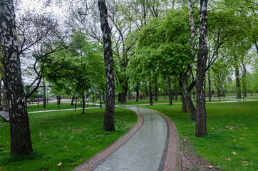 Fototapeta na wymiar walking paths in the park, benches for rest, and green trees