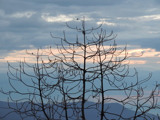 silueta - atardecer