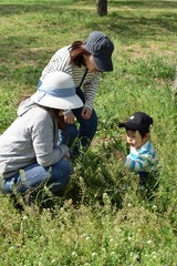 A boy, mom and grandmother 2 years old playing in the field