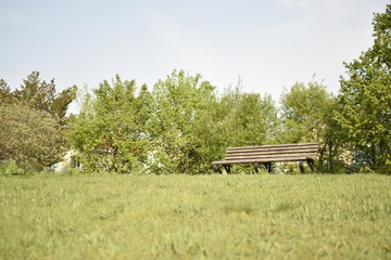 Obraz premium 丘のベンチ