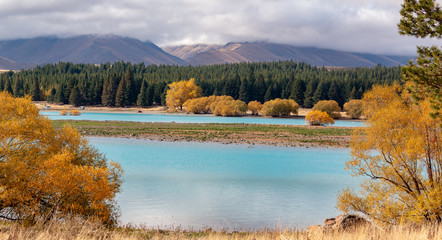 Autum scenery at Lake Tekapo, New Zealand