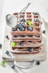 Fresh waffles made of cocoa with fresh blueberries