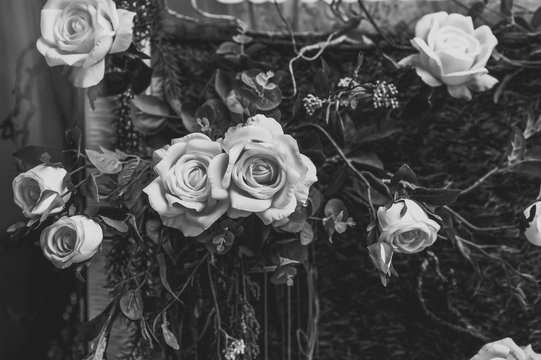 Beautiful vintage roses Is a picture of a black rose Beautiful patterns for making various media