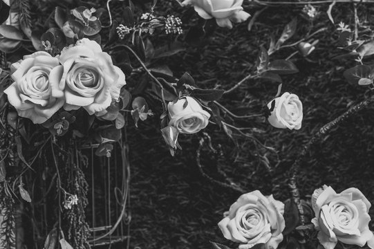 Gothic Rose Images – Browse 27,282 Stock Photos, Vectors, and Video | Adobe  Stock