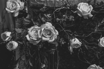 Beautiful vintage roses Is a picture of a black rose Beautiful patterns for making various media