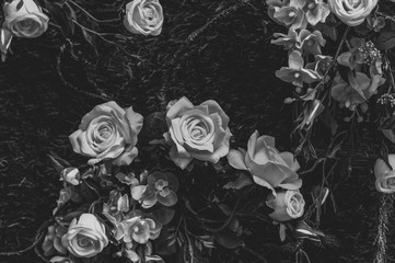 Beautiful vintage roses Is a picture of a black rose Beautiful patterns for making various media