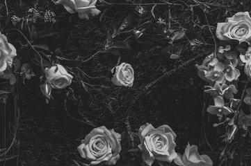 Beautiful vintage roses Is a picture of a black rose Beautiful patterns for making various media - Powered by Adobe