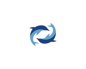 Dolphin logo icon vector
