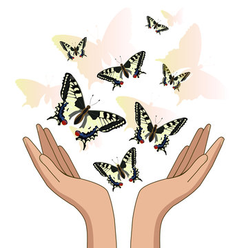 Hands, Let Go Of Yellow Beautiful Butterflies. Isolate On White Background. Vector Illustration