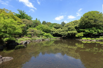 Fototapeta na wymiar 旧古河庭の日本庭園