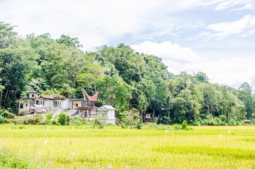 Obraz premium Rantepao burial ceremony Indonesia Toraja