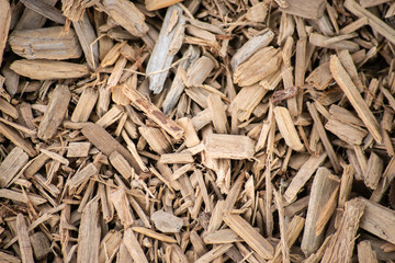 Wooden Mulch Texture