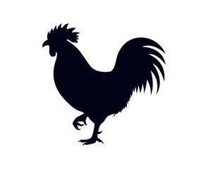 Isolated rooster on white background vector illustration