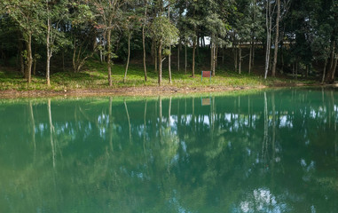 Beautiful green lagoon of Khun Nam Nang Non forest park in Chiang Rai province of Thailand. 