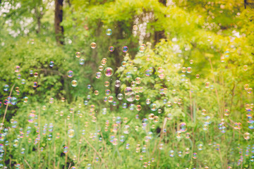 The rainbow bubbles from the bubble blower - Image