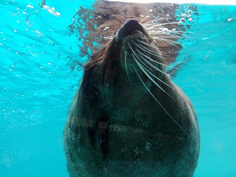 Plenitud en el agua
