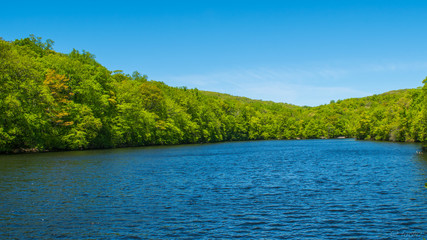 Fototapeta premium Lake at ramapo valley!