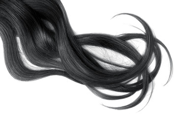Long black hair isolated on white background.